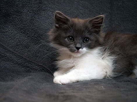 Quiana am 05.07.2025